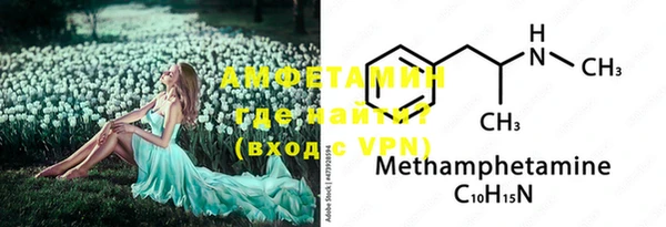 индика Абинск