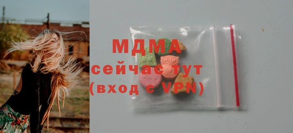 индика Абинск
