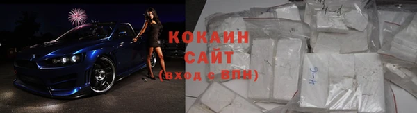 индика Абинск