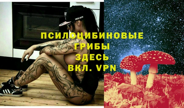 индика Абинск