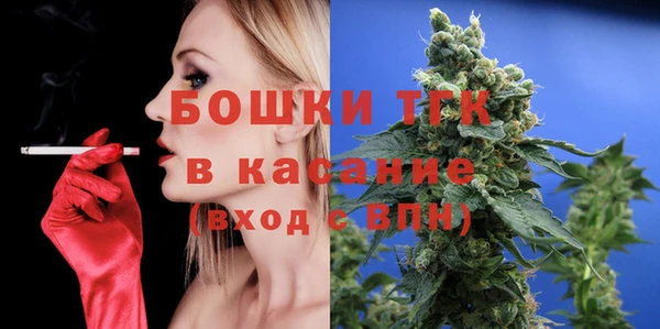 индика Абинск