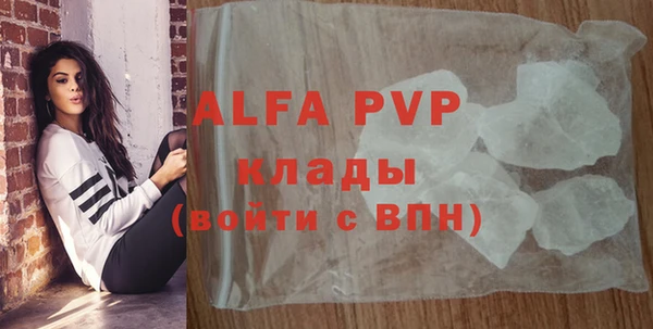 дживик Нефтекумск