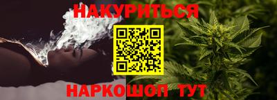 крисы Лесосибирск