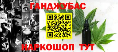 крисы Лесосибирск