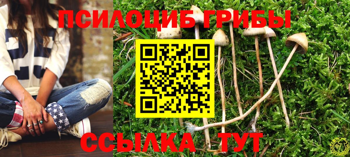 Псилоцибиновые грибы Cubensis  Галлюциногенные грибы Psilocybine cubensis  Вход с VPN  Керчь 